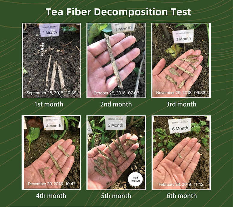 Buletedan Technology